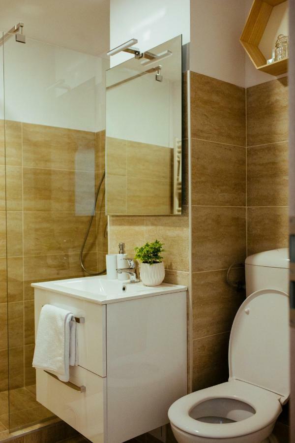 Urban Living Apartment Τιμισοάρα Εξωτερικό φωτογραφία